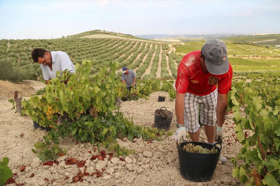 Gobernación solicitó al ministro de Agricultura que Córdoba sea el primer departamento en visitar