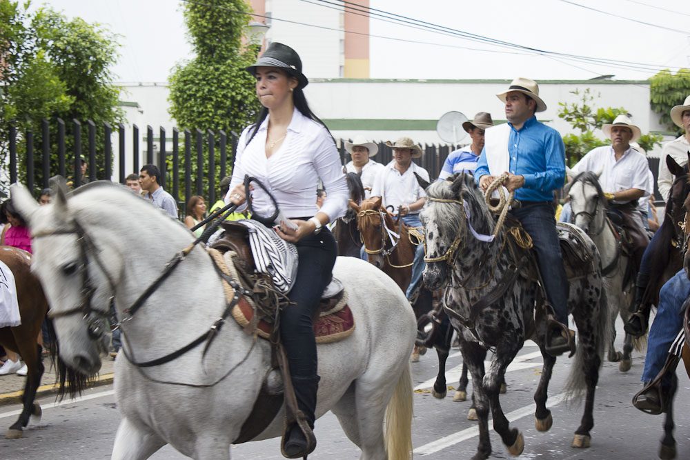 Desde el Concejo proponen reglamentar cabalgatas en Montería