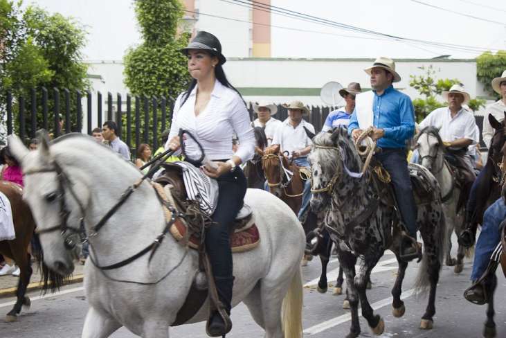 Concejo dejó por fuera del debate sobre la reglamentación de cabalgatas a los animalistas