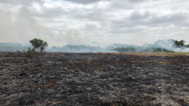 Lo que el pueblo quiere, Fiscalía tiene casi identificados a los responsables del incendio en la Ciénaga de Corralito