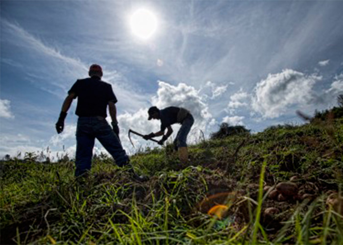 EE.UU. anunció que apoyará a Colombia en el proceso de restitución de tierras