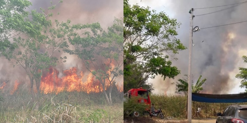 Gran incendio forestal amenazó con extenderse a dos barrios de Montería