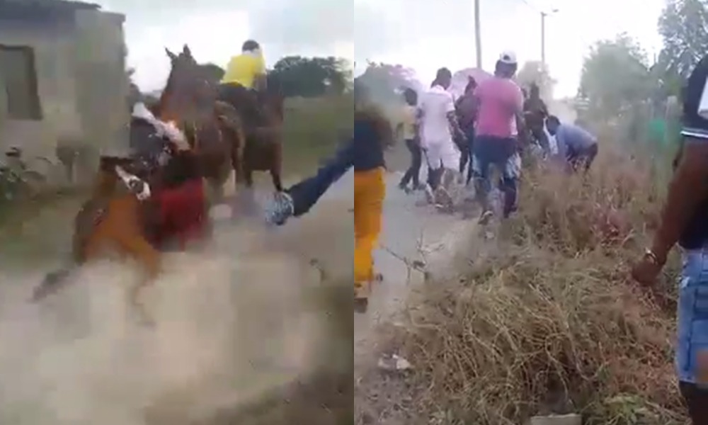 Video: qué peligro, casi pierde la vida tras caerse de un caballo en las fiestas de San Bernardo del Viento