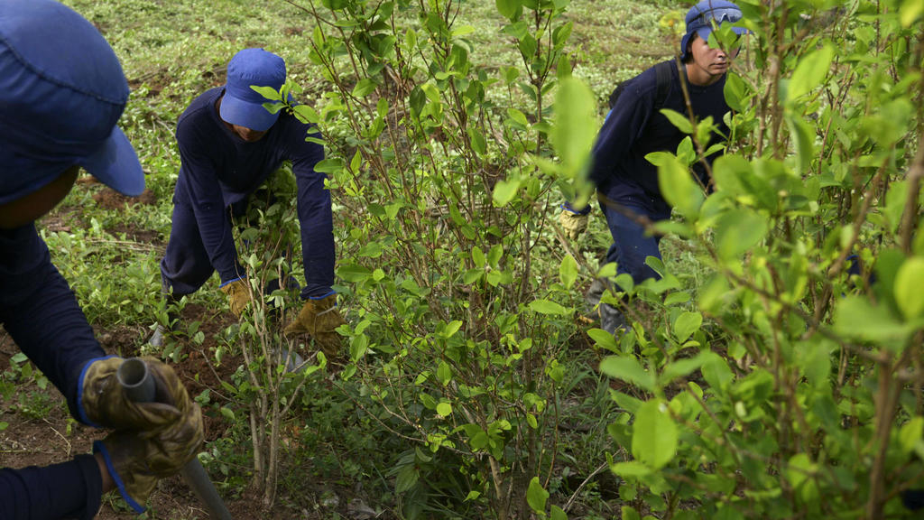 Enfrentamiento entre campesinos y Fuerza Pública genera alerta en Puerto Libertador