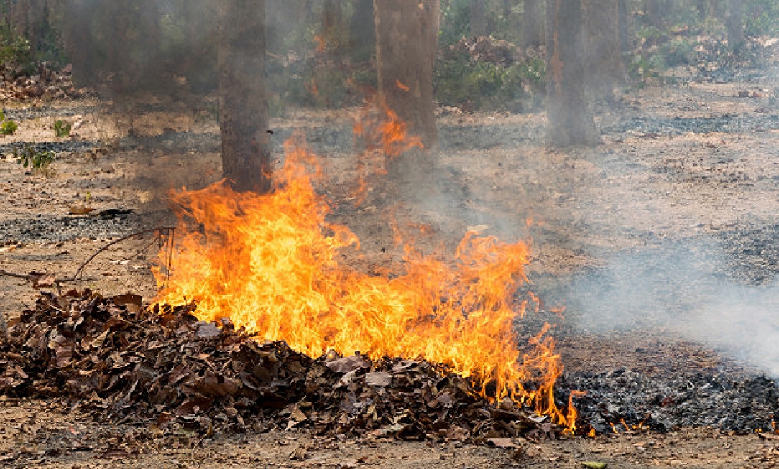 Aterrador, campesino quemaba una basura y terminó calcinado en zona rural de San Pelayo