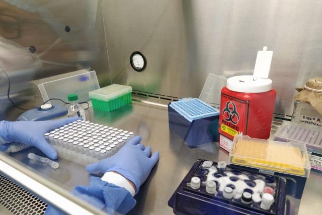 Alarmante: INS ya no tiene capacidad para analizar pruebas de coronavirus