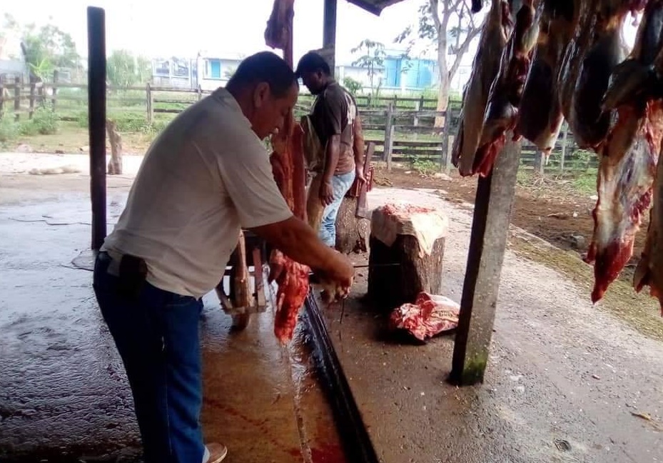 ¡Qué gesto! Alcalde de San Jacinto del Cauca sacrificó 8 vacas de su propiedad para ayudar a las personas más afectadas en cuarentena