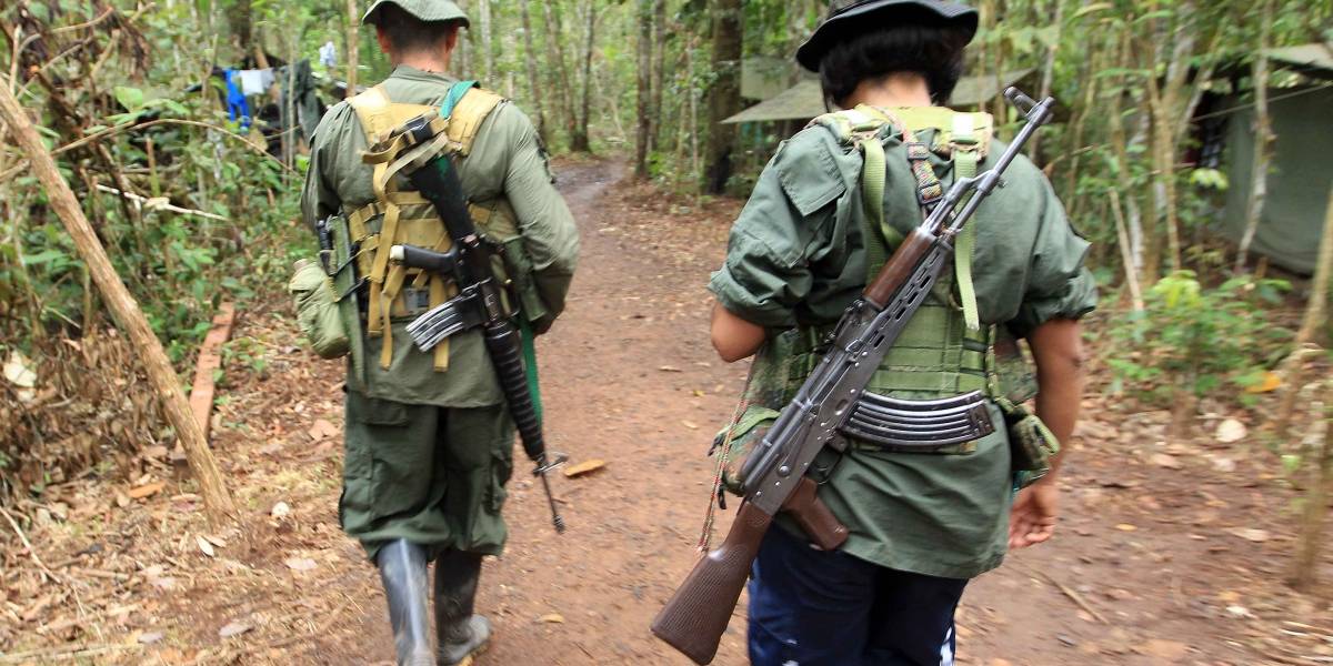 Extinta guerrilla de las Farc ha entregado información sobre 340 desaparecidos