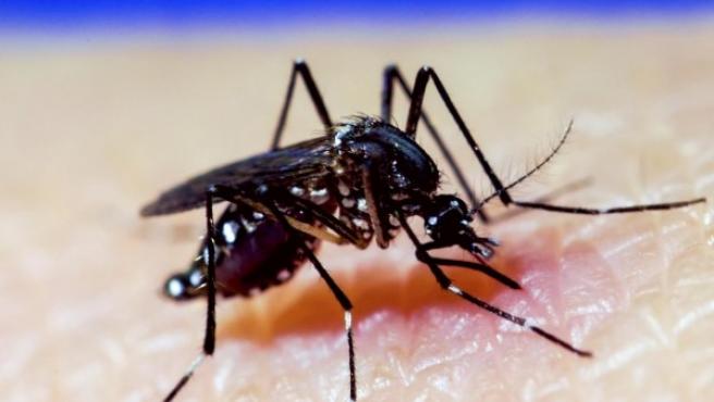 La preocupación en Córdoba no es solo el Covid-19, autoridades de salud reportan más de 1.300 casos de dengue