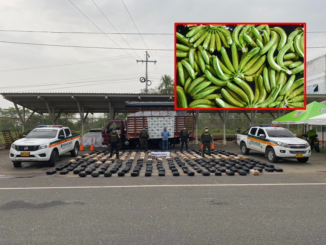 Incautan enorme cargamento de ‘narco plátanos’ en Planeta Rica