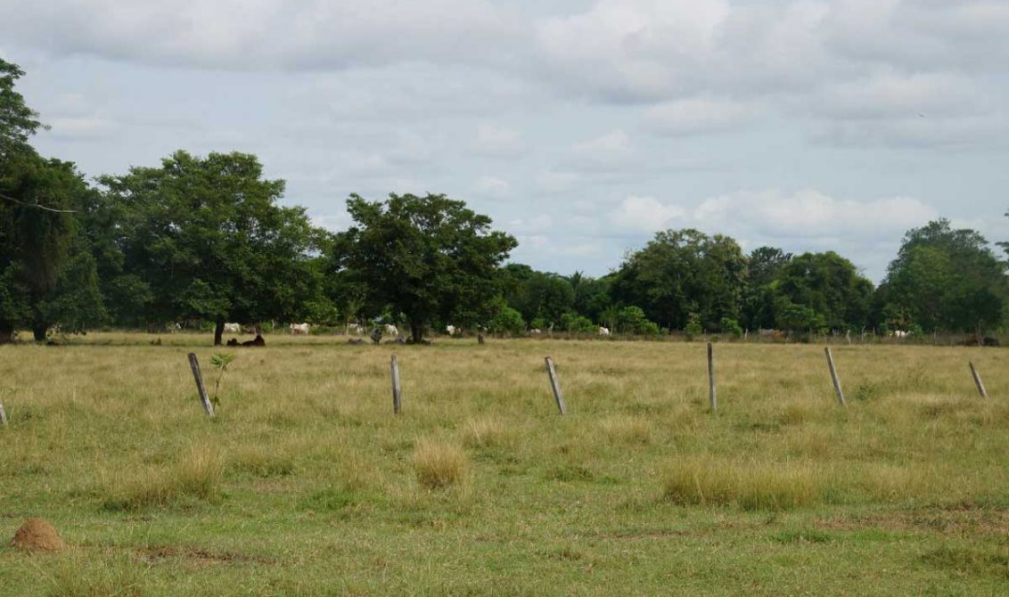 Concejo de Montería aprobó proyecto para modificar la tarifa del impuesto predial rural