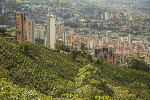 Contraloría puso en la lupa 13 mil contratos por 2,5 billones de pesos firmados en Antioquia