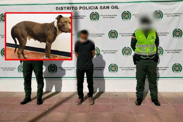 Indignante, hombre abusó sexualmente de una perra pitbull