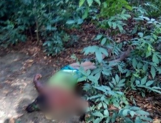 ‘La Negra’ era de Tolú Viejo, autoridades confirmaron identidad de habitante de calle asesinada en Montería