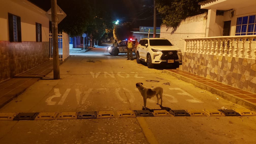 Repugnante: hombre abusó sexualmente de una ‘perrita’ de la calle