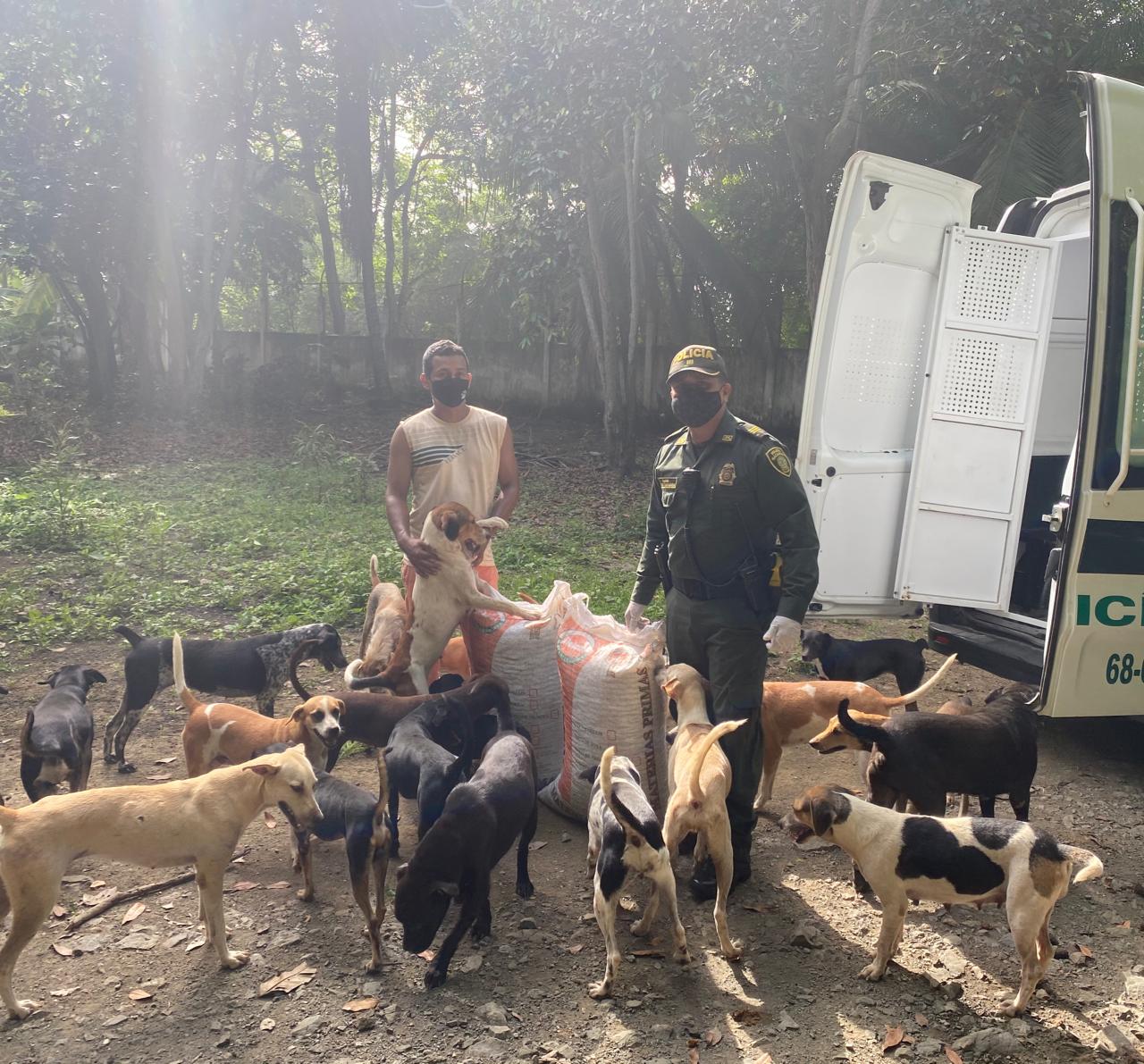 Qué buen gesto: Policía donó alimentos a Fundación Amor Animal