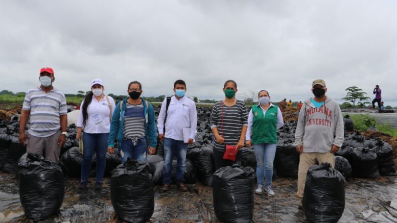 Pequeños productores ganaderos recibieron una tonelada de silo de maíz en Cereté