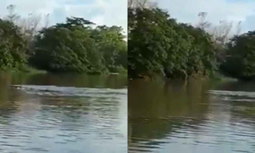 En video, se robó una moto y se lanzó al río Sinú en Lorica