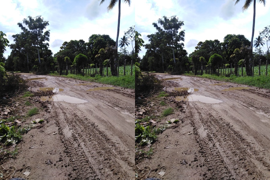 En junio iniciarán obras de mantenimiento en vías rurales de San Pelayo