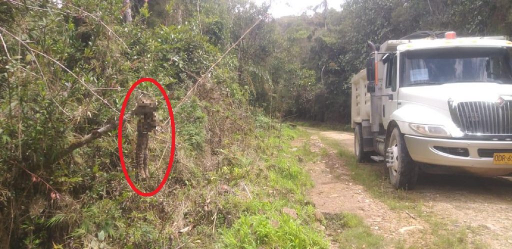 Rechazo total por asesinato de tigrillo que dejaron colgado a un árbol