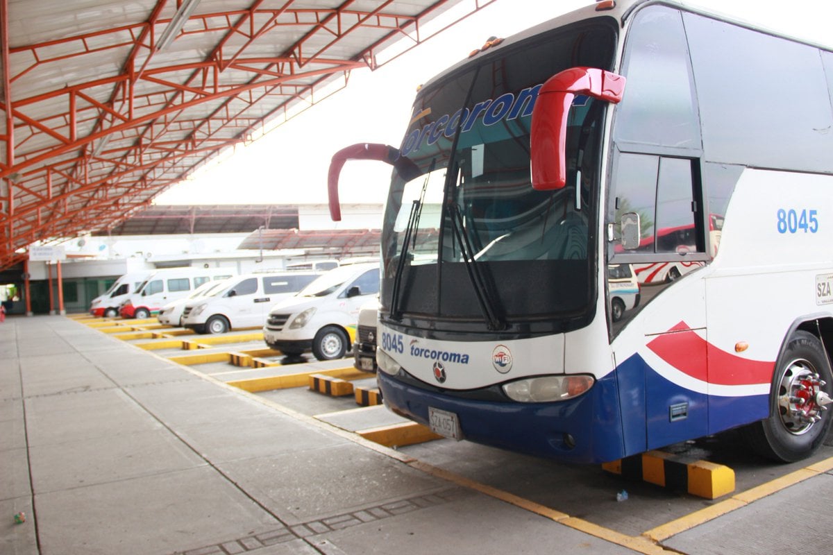 Alcaldes y gobernadores podrán solicitar la reactivación gradual del transporte terrestre