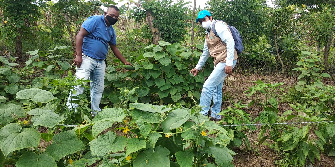 Urrá promueve seguridad alimentaria de familias en Tierralta  por contingencia de Covid-19