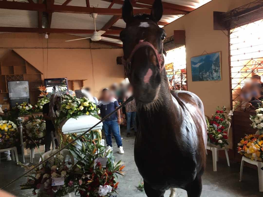 Con corridos y caballos de paso fue el masivo sepelio de alias ‘Pueblo’ del Clan del Golfo en Tierralta