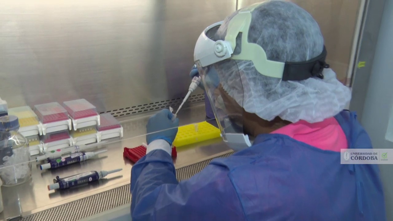 El laboratorio de la Unicor realizó las primeras 5 mil muestras de Covid-19