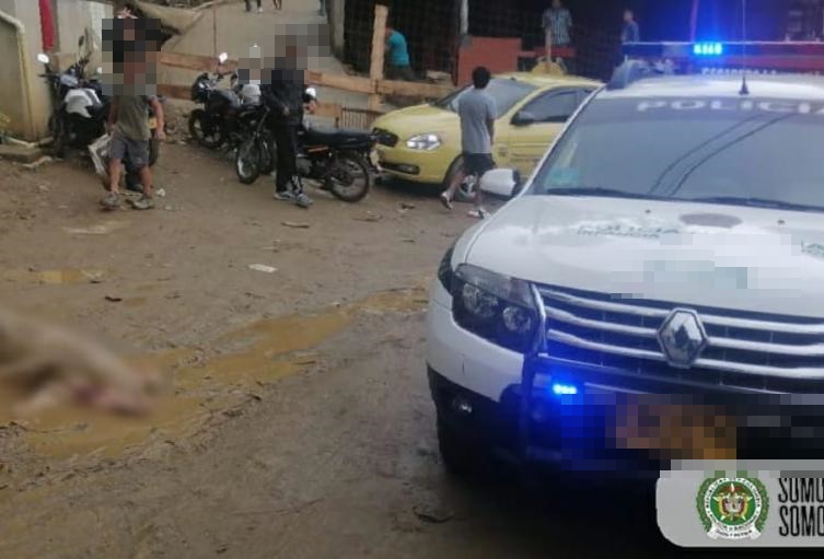 Capturan a venezolano que sacrificó a un cerdo en plena calle para comérselo