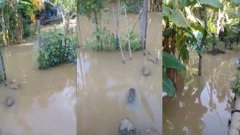 Habitantes en zona rural de Lorica afectados con inundaciones tras fuerte aguacero