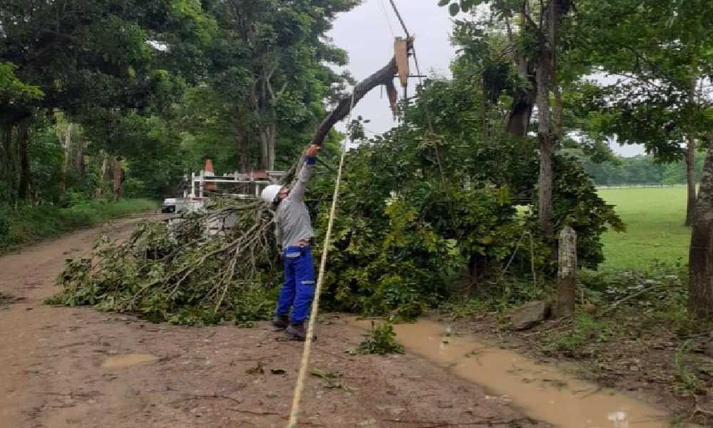 Varios sectores en Montería quedaron sin energía tras fuerte aguacero