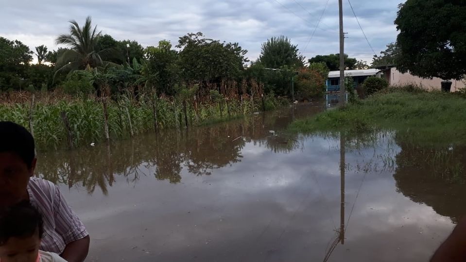 En Montería, fuertes lluvias han arrasado con cultivos