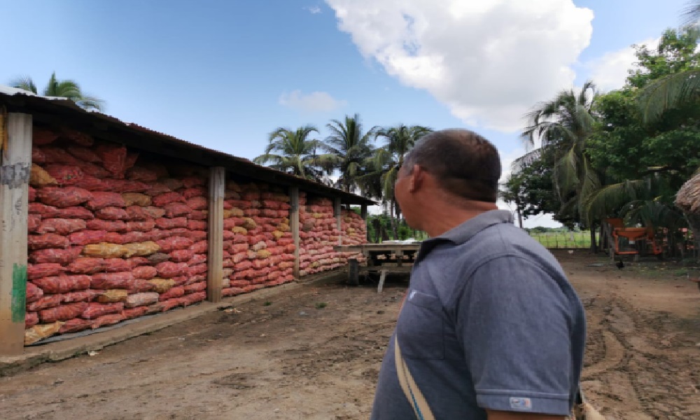 Productores no llegaron a acuerdo con empresarios, toneladas de maíz siguen represadas en Córdoba