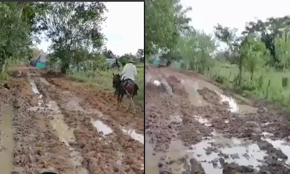 Campesinos en Ayapel piden urgentemente intervención en vías rurales