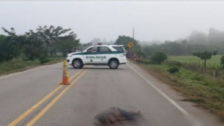 Loriquero, en aparente estado de embriaguez se durmió en la carretera y un carro lo arroyó