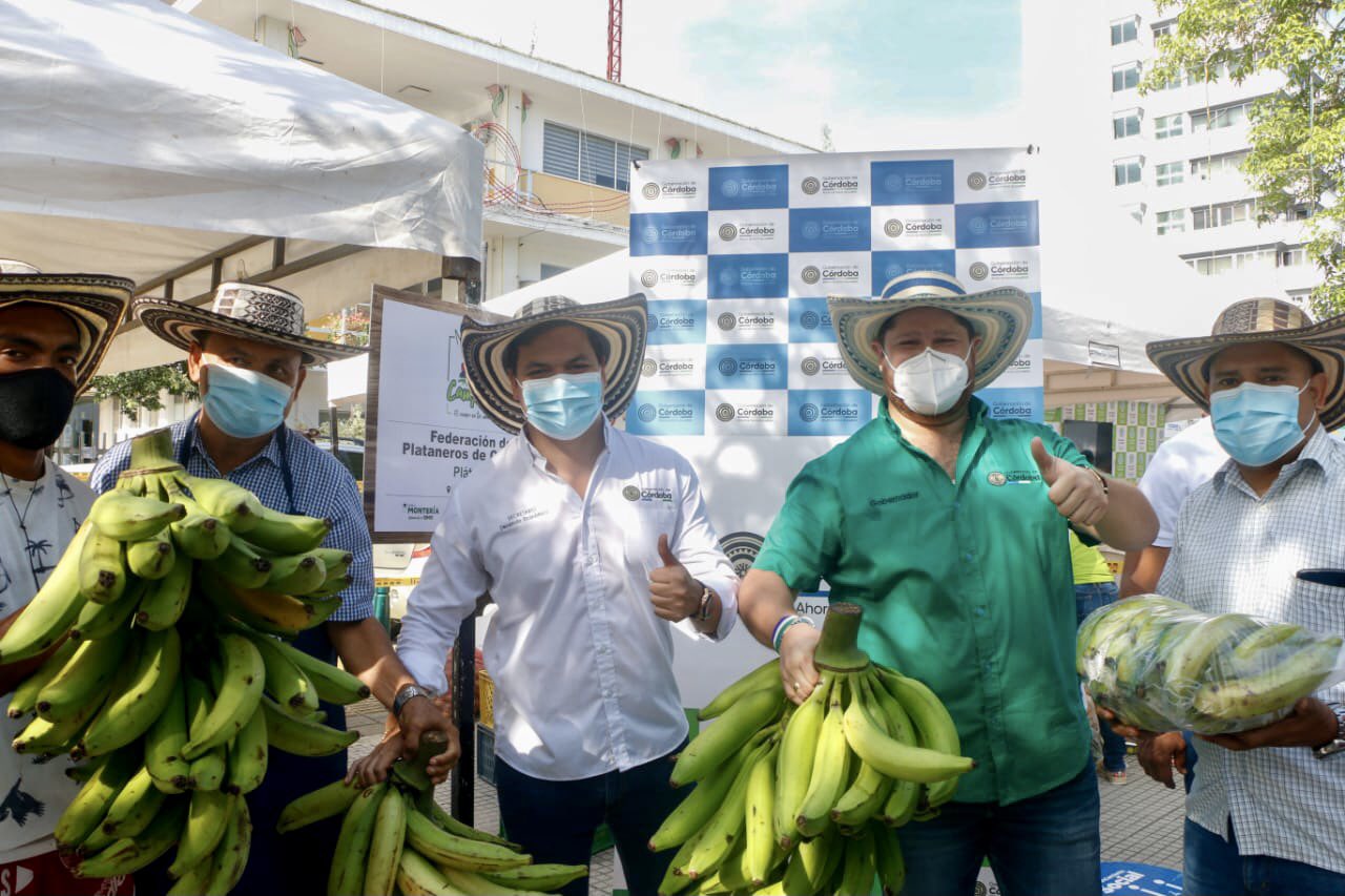 El campo en tus manos, hoy se realiza el Mercado Campesino en El Centro de Montería