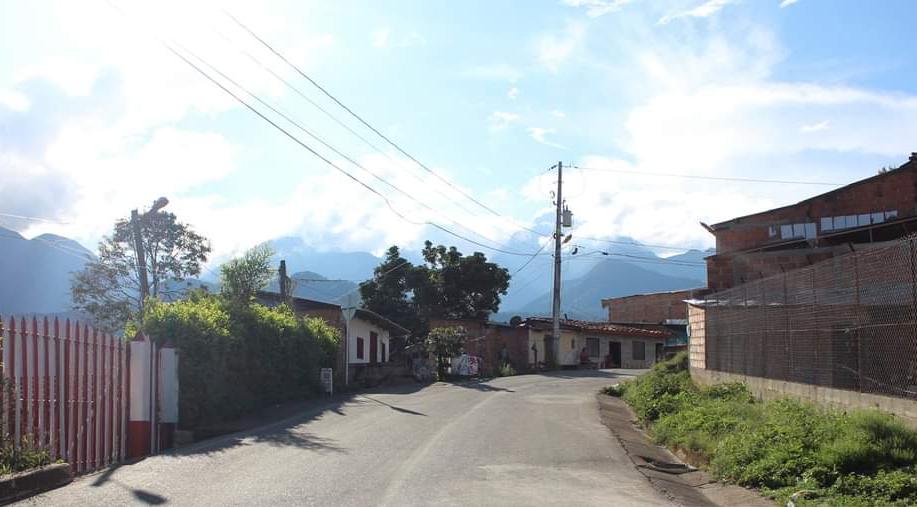 Otra masacre, asesinan a siete recolectores de café en Antioquia
