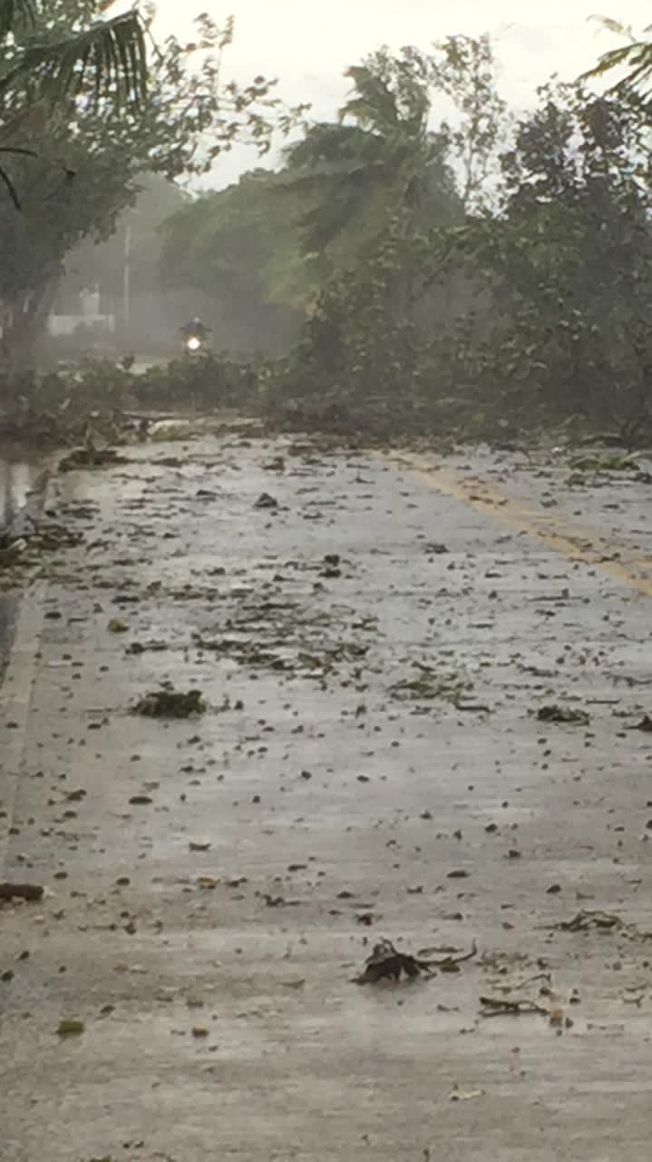 Fuertes estragos ha causado el huracán Eta en San Andrés