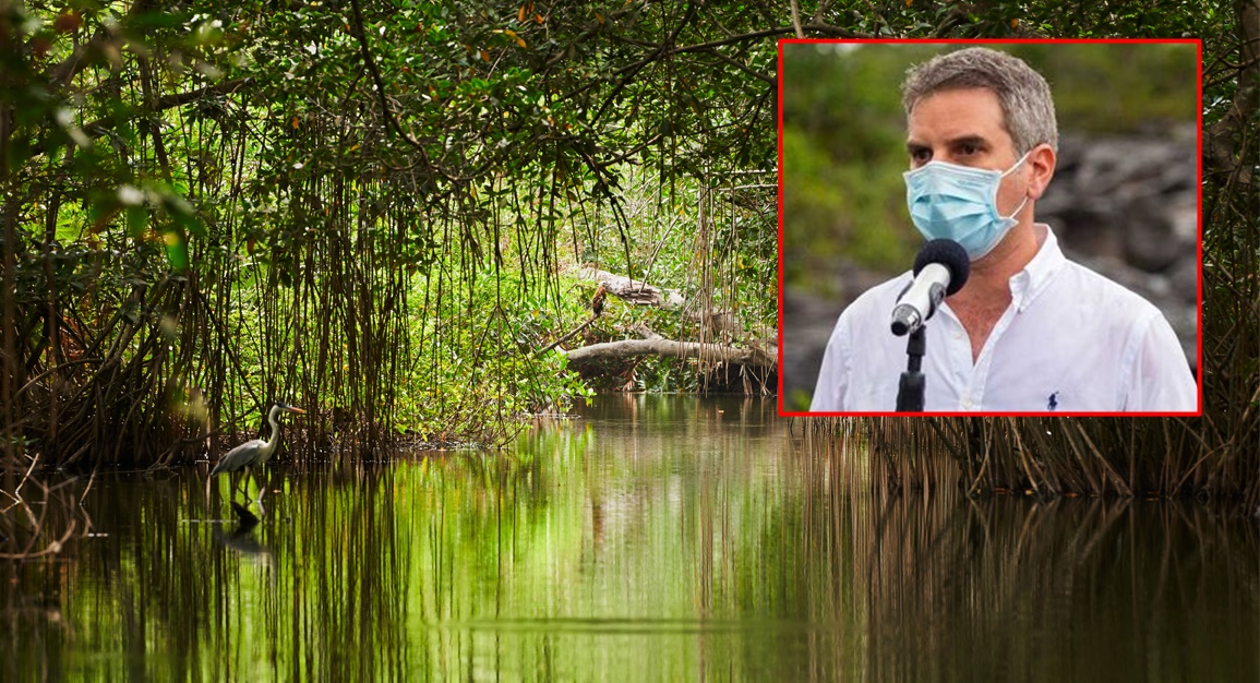 Ministro de Ambiente visitará a San Antero para evaluar protección de manglares