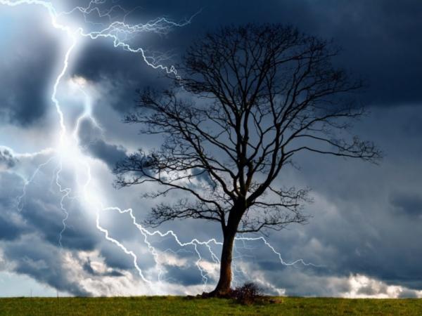 Evitar sitios abiertos y estar debajo de árboles: recomendaciones en caso  de tormentas eléctricas