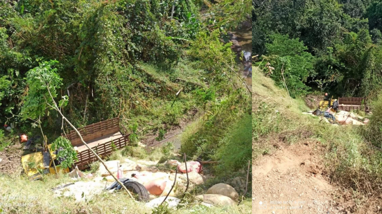 Camión cargado de maíz cayó a un abismo en Tierralta, dos personas resultaron heridas
