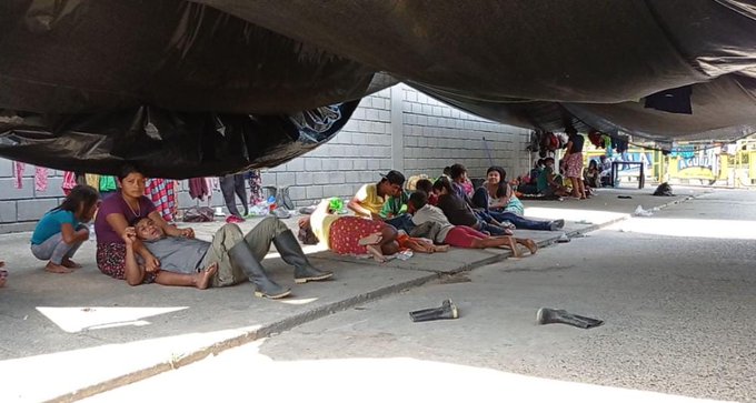 Alcaldía de Montería practica pruebas de Covid-19 a indígenas que protestan contra Urrá
