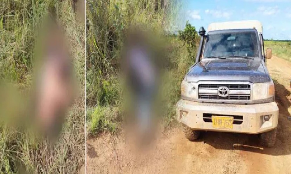 Reportan asesinato de tres personas en San José del Guaviare