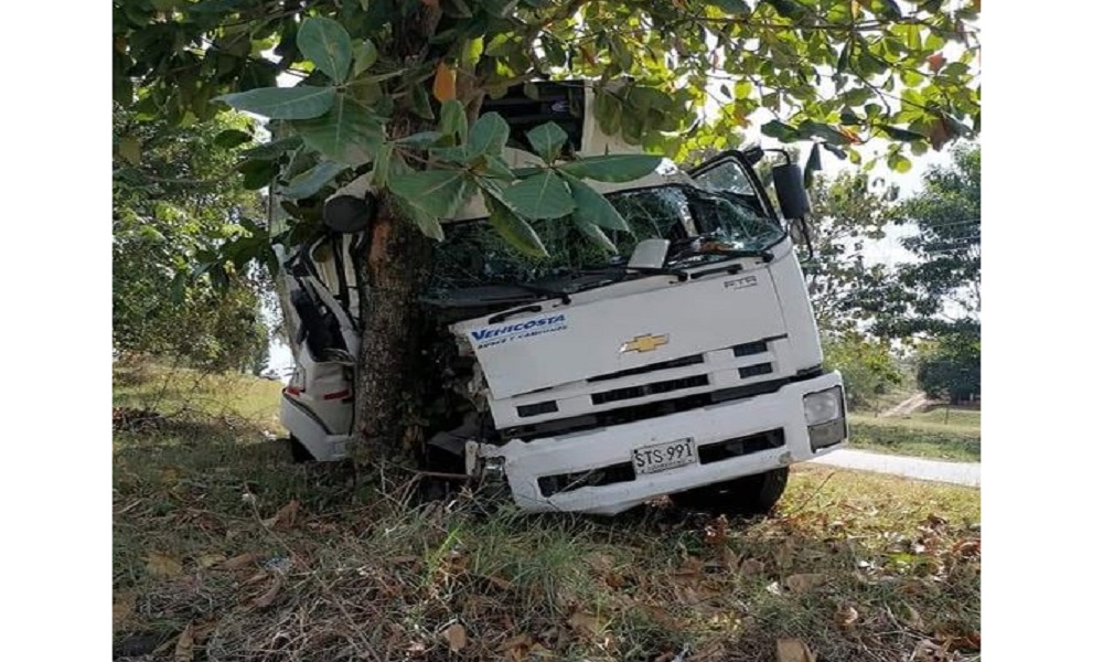 Furgón chocó contra un árbol en Ciénaga de Oro