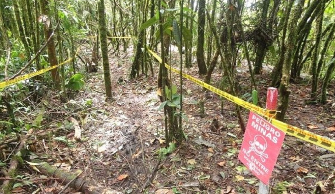 Trágico, dos menores murieron luego de caer en un campo minado