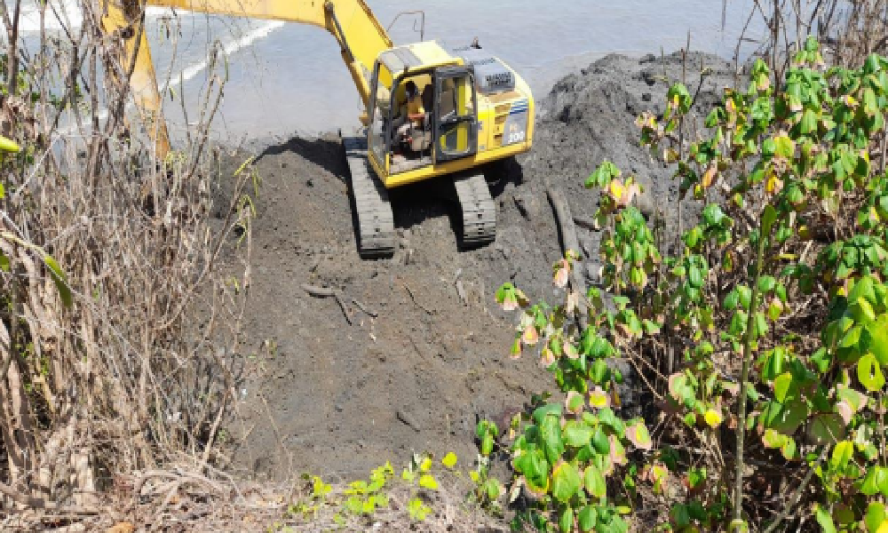 Realizan disposición final de la ballena que se varó en las playas de Puerto Escondido