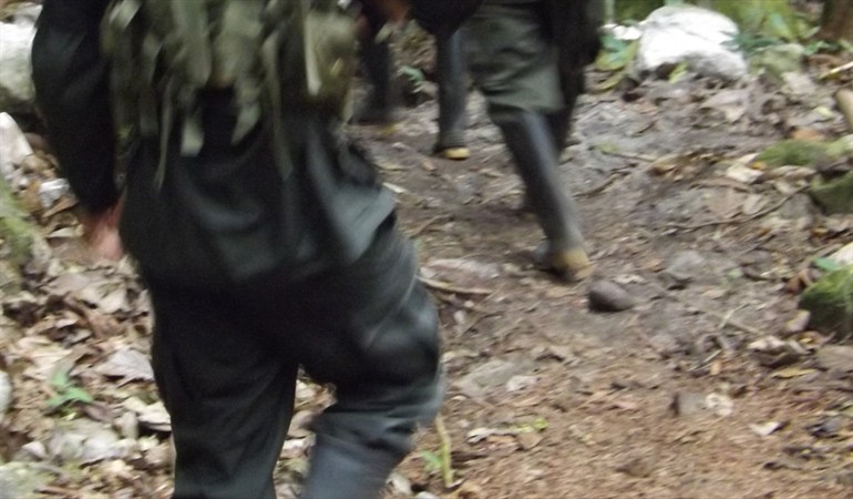 Desplazamientos en Cauca por disputas entre grupos armados