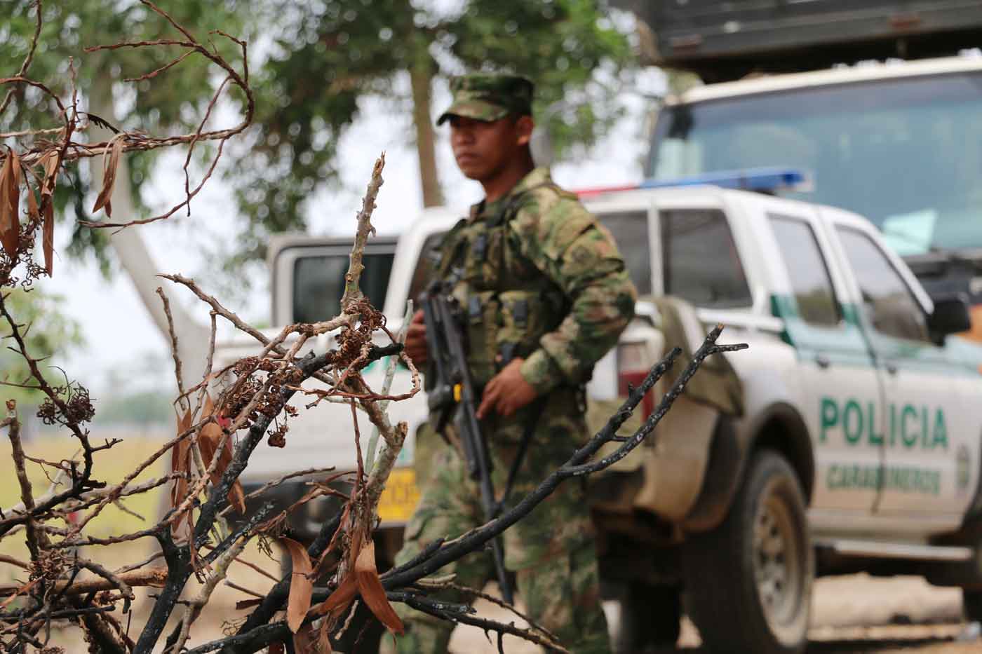 Ofrecen millonaria recompensa por responsables de asaltos a casas fincas en Montería