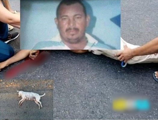 ‘El Caña’ fue a esquivar un perro, se estrelló y murió en San Pelayo