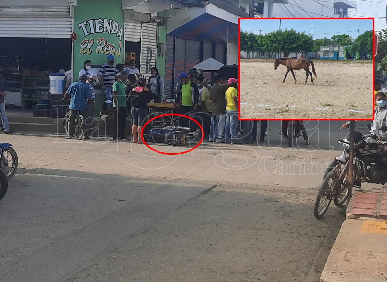 Insólito, caballo desbocado ocasionó aparatoso accidente de tránsito en pleno centro de Ciénaga de Oro